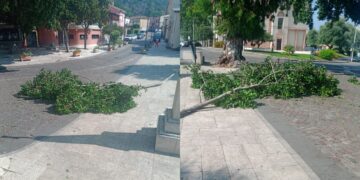 Paura a Sarroch, grosso ramo cade in piazza Sa Ruxi