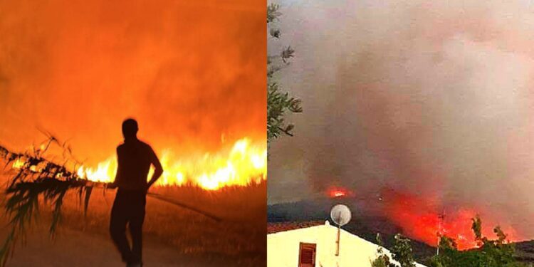 Incendi in Sardegna, altri roghi durante la notte: volontari a Decimomannu per spegnere le fiamme