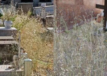 Assemini, erbacce alte e secche tra le tombe dove riposano i defunti