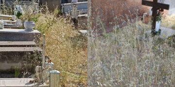 Assemini, erbacce alte e secche tra le tombe dove riposano i defunti