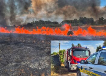 Assemini circondata dalle fiamme: tre grossi roghi a Sant’Andrea, Santa Maria e Serra