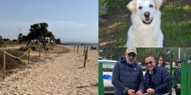Capoterra città animal friendly: spiaggia, parco e passerella per i quattrozampe