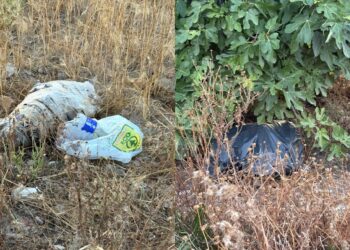 Quartu, grossi sacchi abbandonati fanno temere il peggio per alcuni animali