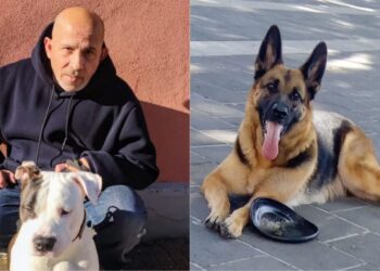 Cagliari, addio a Salvatore Soddu: era il padrone di Kira, dolore a Pirri