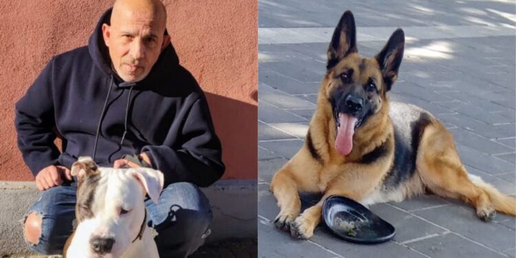 Cagliari, addio a Salvatore Soddu: era il padrone di Kira, dolore a Pirri