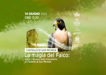 “La magia del falco”: storia, gusto, svago e cultura al Castello di San Michele