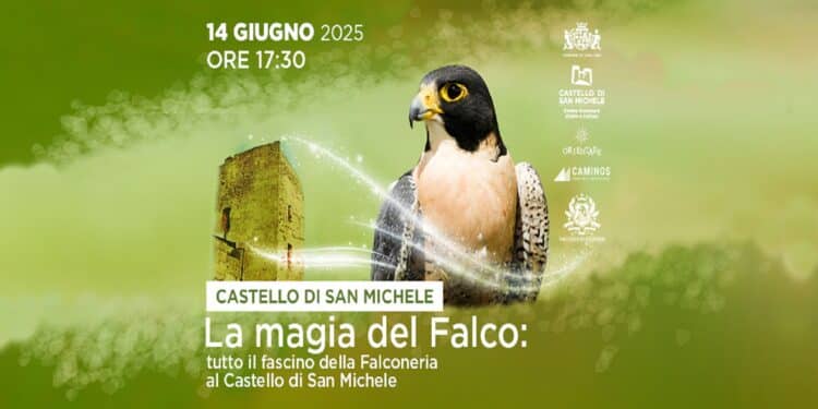 “La magia del falco”: storia, gusto, svago e cultura al Castello di San Michele