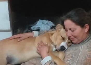 Quartu, addio all’amica degli animali Valeria Di Iorio