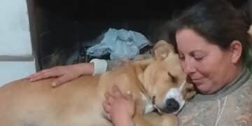 Quartu, addio all’amica degli animali Valeria Di Iorio