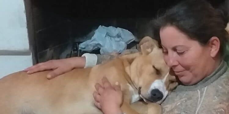 Quartu, addio all’amica degli animali Valeria Di Iorio