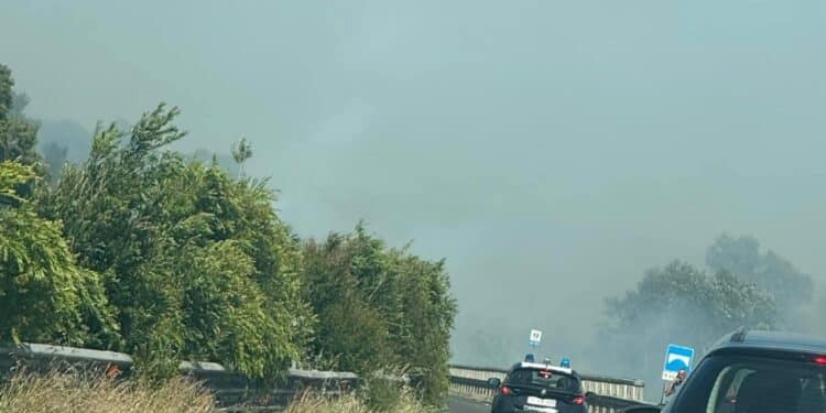 Decimomannu, vasto incendio ai bordi della Ss130 in azione anche un elicottero