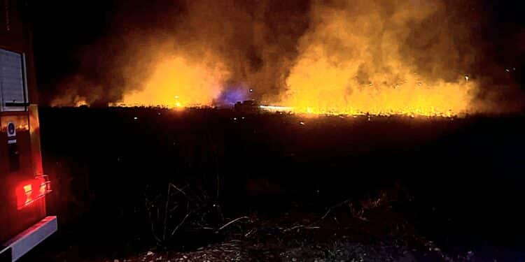 Vasto incendio durante la notte nella periferia di Maracalagonis