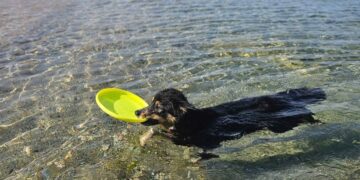 Tuffi in acqua anche per i quattro zampe: riapre Funtana Bau a Gonnesa