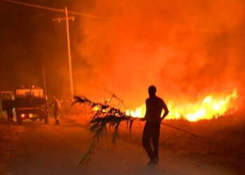 Allerta incendi in Sardegna, già 149 i roghi registrati a giugno e 500 gli ettari andati in fumo
