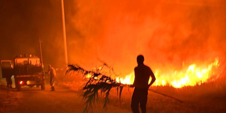Allerta incendi in Sardegna, già 149 i roghi registrati a giugno e 500 gli ettari andati in fumo