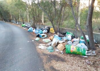Cagliari, sabato 28 giugno cittadini e volontari in campo per valorizzare il lungomare