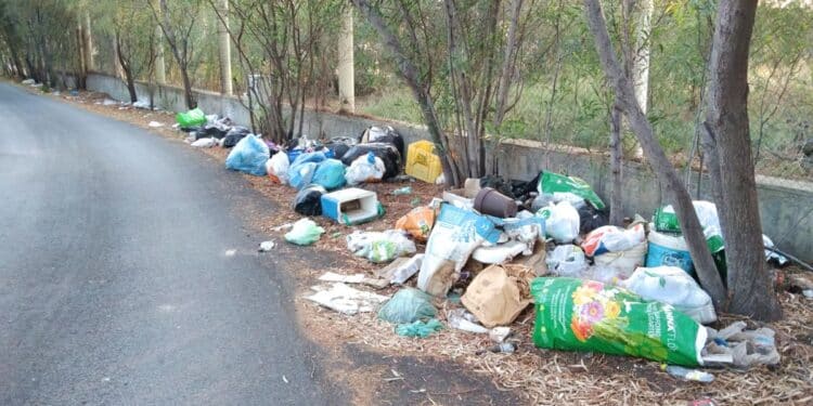 Cagliari, sabato 28 giugno cittadini e volontari in campo per valorizzare il lungomare