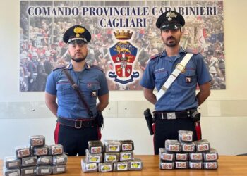 Cagliari, ancora droga nei depositi degli spedizionieri: i cani fiutano 170 panetti di hashish