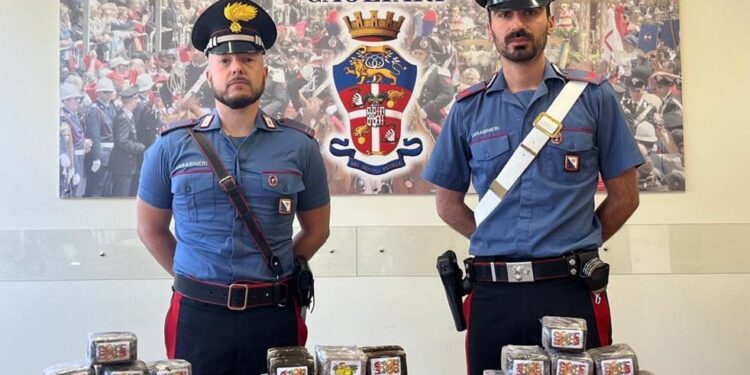 Cagliari, ancora droga nei depositi degli spedizionieri: i cani fiutano 170 panetti di hashish