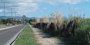 Quartu, semafori pedonali a chiamata in via Fiume e nella Sp 17: i cittadini si mobilitano