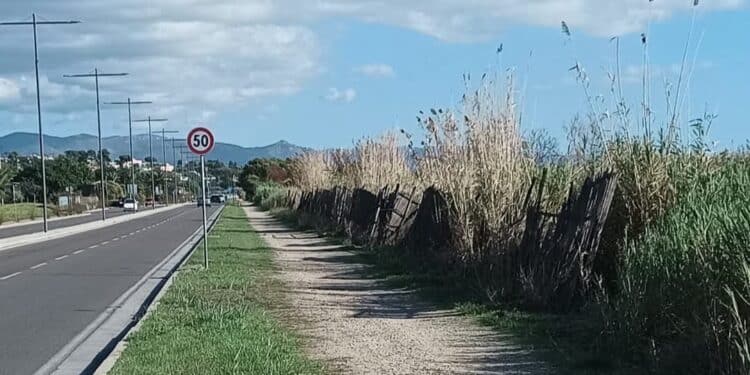 Quartu, semafori pedonali a chiamata in via Fiume e nella Sp 17: i cittadini si mobilitano
