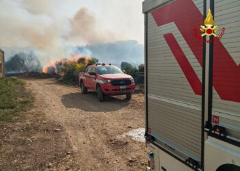Sardegna nella morsa dei piromani: ben 40 incendi nell’Isola, momenti di terrore a Furtei, Segariu e Bonorva