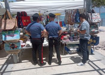 Blitz dei Nas al Poetto a Cagliari, scoperti 2 depositi alimentari irregolari di prodotti ittici: sequestri per 60 mila euro