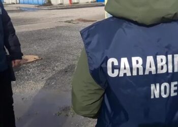 Assemini, denunciata un’imprenditrice per gestione e combustione illecita di rifiuti