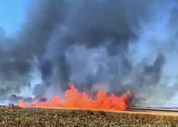 Villasor, campi di grano in fiamme, decine di migliaia di euro in fumo: probabile azione dolosa