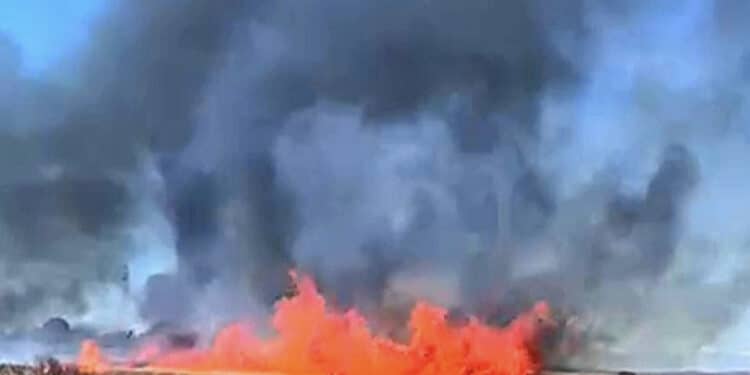 Villasor, campi di grano in fiamme, decine di migliaia di euro in fumo: probabile azione dolosa