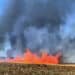 Villasor, campi di grano in fiamme, decine di migliaia di euro in fumo: probabile azione dolosa