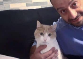 Cagliari, chiuse le indagini su Igor Sollai per violenza sessuale sulla 15enne: lei ha confermato