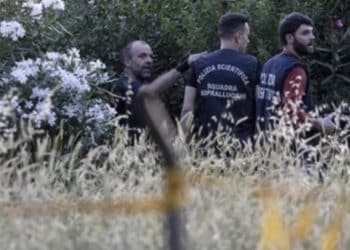 Neonata e donna trovate senza vita al parco: sono madre e figlia