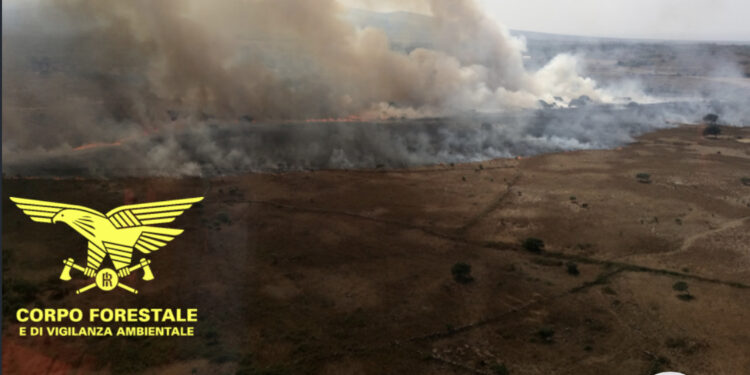 Ussana, un incendio brucia 16 ettari a Su Boscu