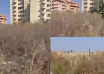 Sestu, erbacce alte e secche a ridosso delle case e degli esercizi commerciali: “Il pericolo è che scoppi un incendio”