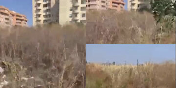 Sestu, erbacce alte e secche a ridosso delle case e degli esercizi commerciali: “Il pericolo è che scoppi un incendio”