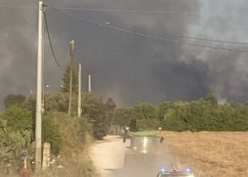 Un altro vasto incendio a Serramanna, a fuoco alcuni terreni coltivati: “Prima uno scoppio, poi le fiamme”