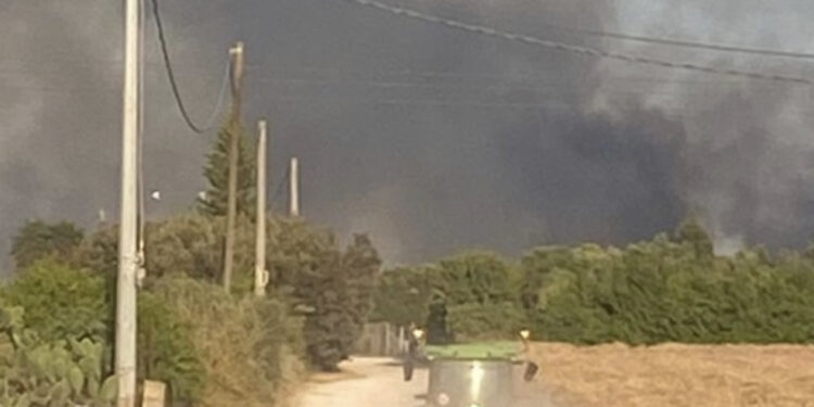 Un altro vasto incendio a Serramanna, a fuoco alcuni terreni coltivati: “Prima uno scoppio, poi le fiamme”