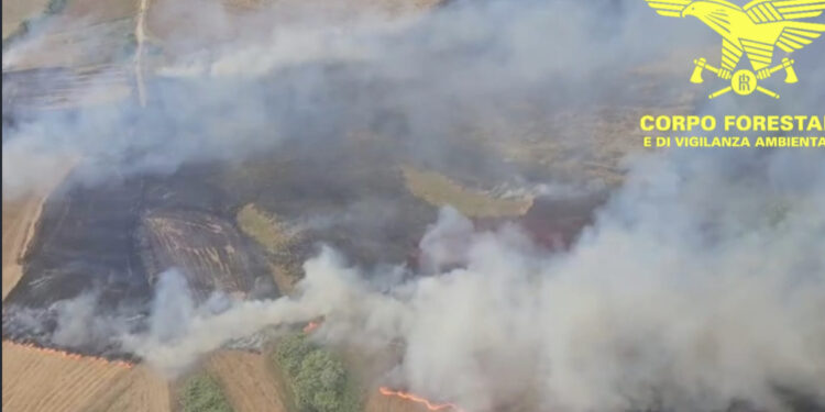 La Sardegna ancora tra le fiamme: 20 incendi ed immenso lavoro del corpo forestale