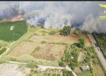 La Sardegna non smette di bruciare, oggi 15 incendi: ancora un enorme lavoro del corpo forestale