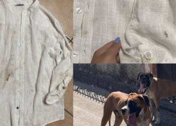 Decimoputzu, cani  industoditi aggrediscono e feriscono un passante