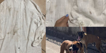 Decimoputzu, cani  industoditi aggrediscono e feriscono un passante