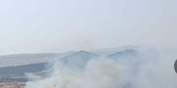 Sardegna senza tregua: 14 incendi ed enorme lavoro dei vigili del fuoco