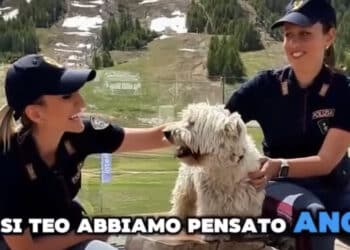 “Gli animali non si abbandonano”: il bellissimo spot della Polizia di Stato contro l’abbandono degli amici a 4 zampe