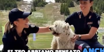 “Gli animali non si abbandonano”: il bellissimo spot della Polizia di Stato contro l’abbandono degli amici a 4 zampe