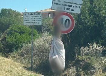 A Valledoria animali impiccati ad un cartello, Rizzi: “Come chiamare questa gente?”