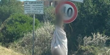 A Valledoria animali impiccati ad un cartello, Rizzi: “Come chiamare questa gente?”