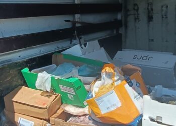 Oristano, sanzionato per trasporto illegale di alimenti per due giorni consecutivi