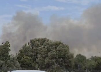 Medio Campidano ancora in fiamme, bruttissimo incendio alle porte di Sanluri in direzione Furtei (VIDEO)