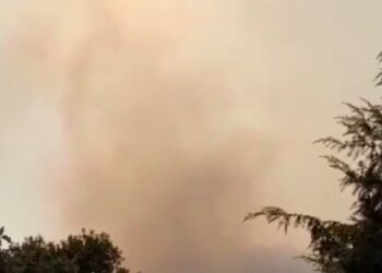 Pomeriggio di fuoco nell’hinterland cagliaritano, roghi ad Assemini, Sestu, San Sperate e Decimoputzu